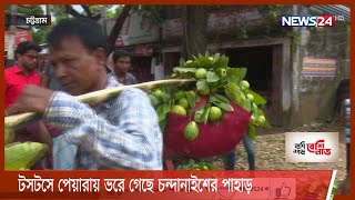 টসটসে পেয়ারায় ভরে গেছে চট্টগ্রামের পটিয়া চন্দনাইশের পাহাড় 22Aug.21|| Ctg fruits