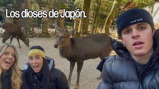 18 días en Japón - DÍA 14