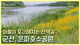 마음이 편안해지는 산책 명소 | 군산, 은파호수공원 | 산책 브이로그 | 힐링 영상, 음악, 에세이