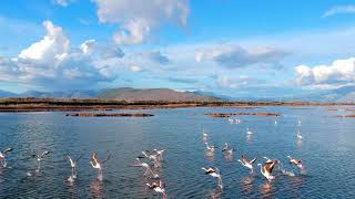 Το νησί του αμβρακικού / The island of amvrakikos.