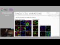 dissecting the spatiotemporal subcellular distribution of the human proteome emma lundberg