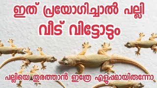 പല്ലിയെ തുരത്താൻ ഒരു കിടിലൻ എളുപ്പവഴി||palliye thurathan|palli shallyam remedy