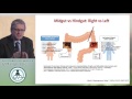 Debate: Targeted therapy for RAS/BRAF WT left sided colon cancers - EGFR antibodies are mandatory