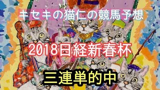 2018日経新春杯　キセキの猫仁の競馬予想　枠順確定後　三連単的中