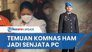 Pakar Ungkap Temuan Komnas HAM soal Dugaan Pelecehan Seksual Justru Jadi 'Senjata' PC di Persidangan