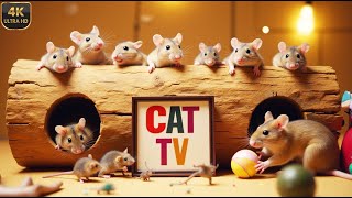 Cat TV Mouse| Mouse Hide \u0026 Seek and Chase On Screen for Cats to Watch| 3 Hours