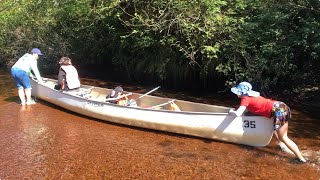 Canoeing 🛶 and Hike to Widgeon Falls at Pitt Lake.