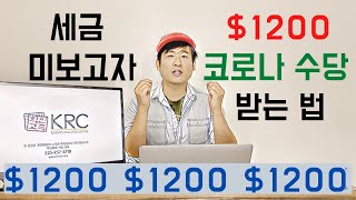 세금 미보고자 1200달러 받는 법 / 서류미비자도 받을 수 있는 쟁점 분석 / 코로나바이러 수퍼 부양안 업데이트