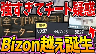 大型アプデ後の最大の注目点はコレじゃね！？まさかの強すぎて『敵からチート疑惑』を受けた最強武器ついに誕生ww【codモバイル】〈KAME〉