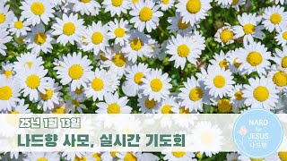 25/01/13 나드향 사모, 실시간 기도회