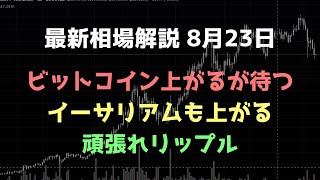 ビットコイン5万ドルに乗せても買わない｜ビットコイン、イーサリアム、リップルの値動きを解説