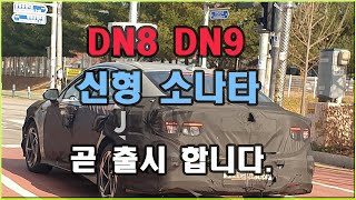 그 동안 말 많던 DN8 쏘나타 페이스리프트 출시일정! 그리고 DN9 관련 소식! 이번 신형 쏘나타가 중요한 이유!