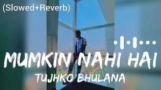 Mumkin Nahi Hai Tujhko Bhulana (Slowed+Reverb) Arijit Singh | Lofi Version |