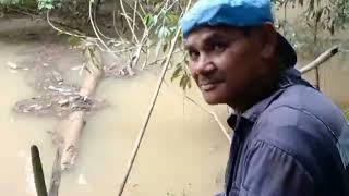 PART:1 PASANG JARING IKAN..SEMASA AIR SUNGAI BANJIR SELEPAS HUJAN..SUNGAI TENGAN BINTULU..