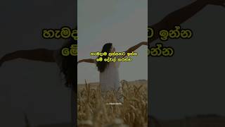 හැමදාම ලස්සනට ඉන්න