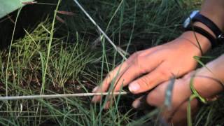 How To Set Up A Campsite