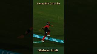Shaheen Afridi Does the Impossible... You Won't Believe What Happens Next! #ytshorts #psl #viral