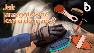 Jak przygotować konia do jazdy?