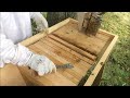 how to straighten top bar combs queen victoria hive sept. 18 2016