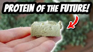 SOYLESS GREEN (it's not people! It's PEAFU) | How to Make Green Pea Tofu