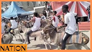 Lamu hosts donkey race to mark 22nd Lamu Cultural Festival