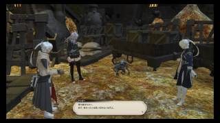 【FF14】メインクエスト「岩神を喚ぶ声」：part2 -真成クリア済-