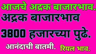 आजचे अद्रक बाजारभाव.अद्रक बाजारभाव 3800 हजारच्या पुढे.Adraka bhav today. Today's ginger market price