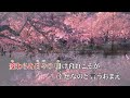 オリジナル曲♪雪割り桜♪cover：山瀬みく　作詞：詩 織　作編曲：市川 龍之介