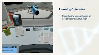 Bacterial Cell Structures: An introduction to the bacterial cell | Virtual Lab