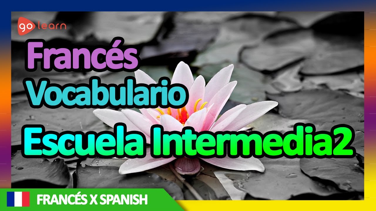 Aprender Francés | Vocabulario Francés Escuela Intermedia2 | Golearn ...