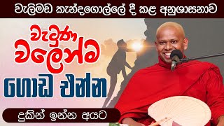 වැටුණ වලෙන්ම ගොඩ එන්න (දුකින් ඉන්න අයට) | Venerable Welimada Saddaseela Thero