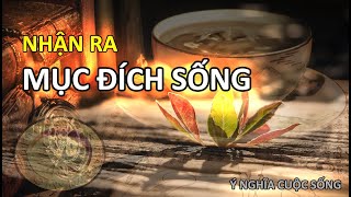 Bạn đã biết mục đích sống của mình? Hiểu ý nghĩa cuộc sống - Vạn vật giác ngộ