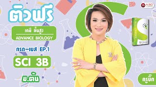 ติวฟรี เนื้อหาวิทยาศาสตร์ ม.ต้น