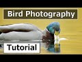 How to Photograph Water Birds (Canon 1DX & 500mm f/4 Mark i Lens)