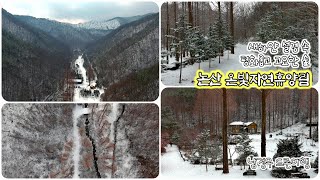 [드론여행] 231224 새하얀 #설경 속, 평화롭고 #고요한 #숲, #논산 #온빛자연휴양림 (4K, EVO2 Pro \u0026 avata)