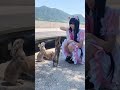 ももにゃん「うさぎ島でうさぎさんに会ってきたにゃん🐰💕」