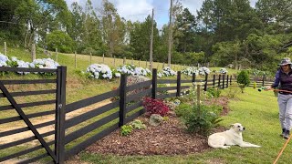 RENOVATING THE FARM'S GARDEN BY DECORATING WITH PLANTS