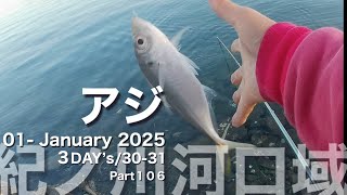 【チヌフカセ釣り】２０２５元旦 紀ノ川河口域でチヌを狙う！㊗️🎍㊗️ Part106🎍 #和歌山釣り#釣りチャンネル#チヌフカセ釣り