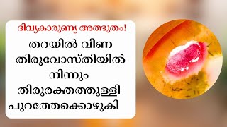 തറയിൽ വീണ തിരുവോസ്തിയിൽ നിന്നും തിരുരക്തത്തുള്ളി പുറത്തേക്കൊഴുകി | Eucharistic Miracle