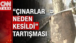 İstanbul'da asırlık çınar ağaçları kesildi