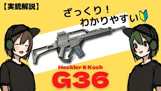 【実銃解説】ドイツ軍の主力小銃G36についてわかりやすく解説していきます！