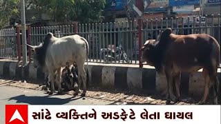 Dahod: દાહોદમાં રખડતા ઢોરનો ત્રાસ