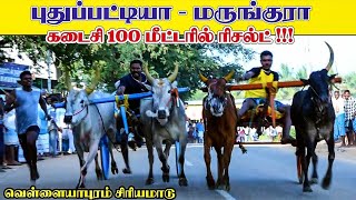 சின்னமாடு இராமநாதபுரம்(மா) வெள்ளையாபுரம் பந்தயம் ||01/02/2021||vellayapuram Chinamadu today rekala