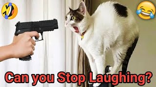 Funny cats and dog s Funny Animals | Funny Animal fails 2024 | Funniest animal c