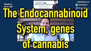 Andrew McIntyre:  The Endocannabinoid System genes of cannabis