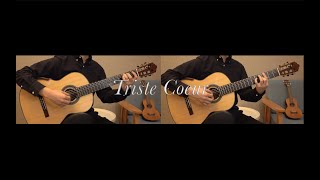 Triste Coeur by Richard Clayderman - Classical Guitar Duet