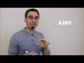 What does FSH and AMH mean Get pregnant faster understanding FSM and AMH