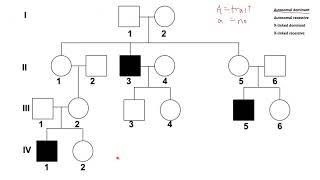 Pedigree Charts