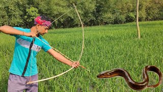 Amazing Bamboo CrossBow Fishing Technique ~ 🥰  Bow Fishing For Big Eel Fish ~ Dream Fishing Video.