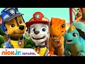 PAW Patrol, Patrulla de cachorros | Los cachorros y los huevos robados | Nick Jr. en Español